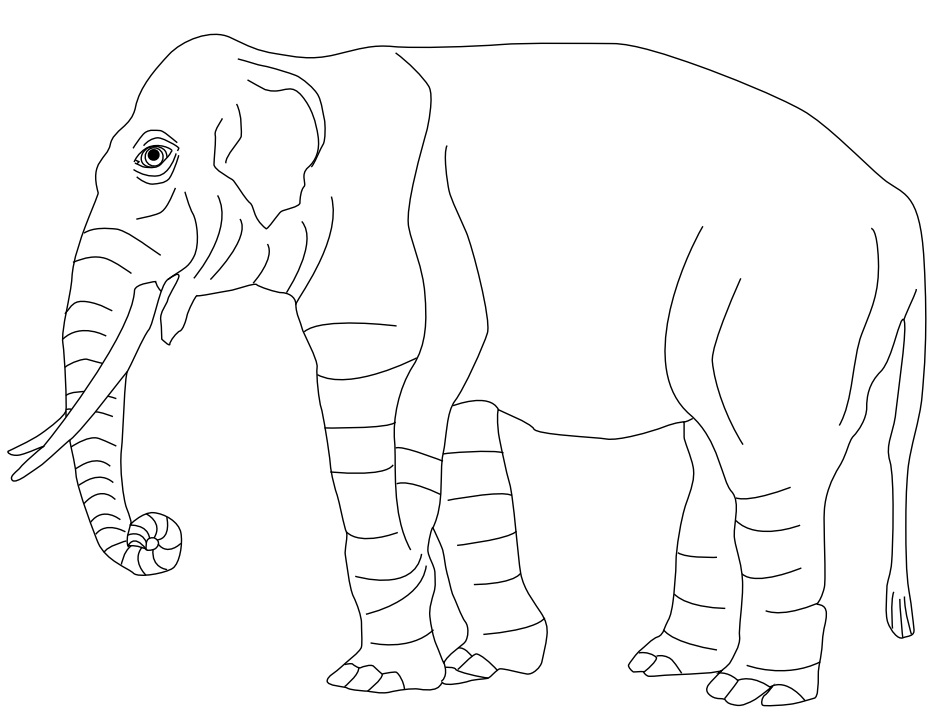Elephant